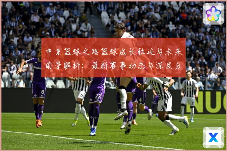 申京篮球之路篮球成长轨迹与未来前景解析：最新赛事动态与深度分析