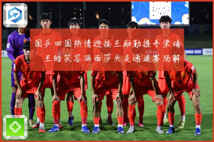 国乒回国热情迎接王励勤握手梁靖崑王皓笑容满面莎头走通道赛场解读：最新赛事动态与深度分析